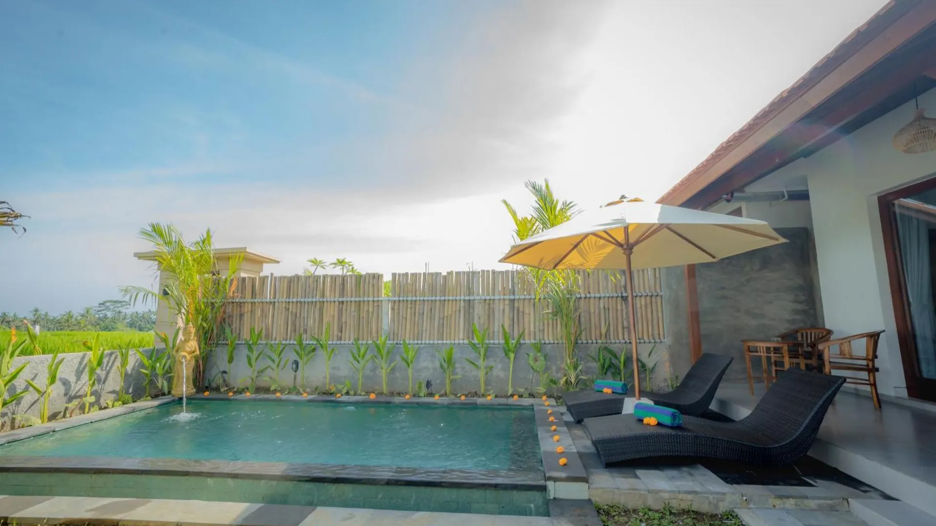 The Wise Ubud