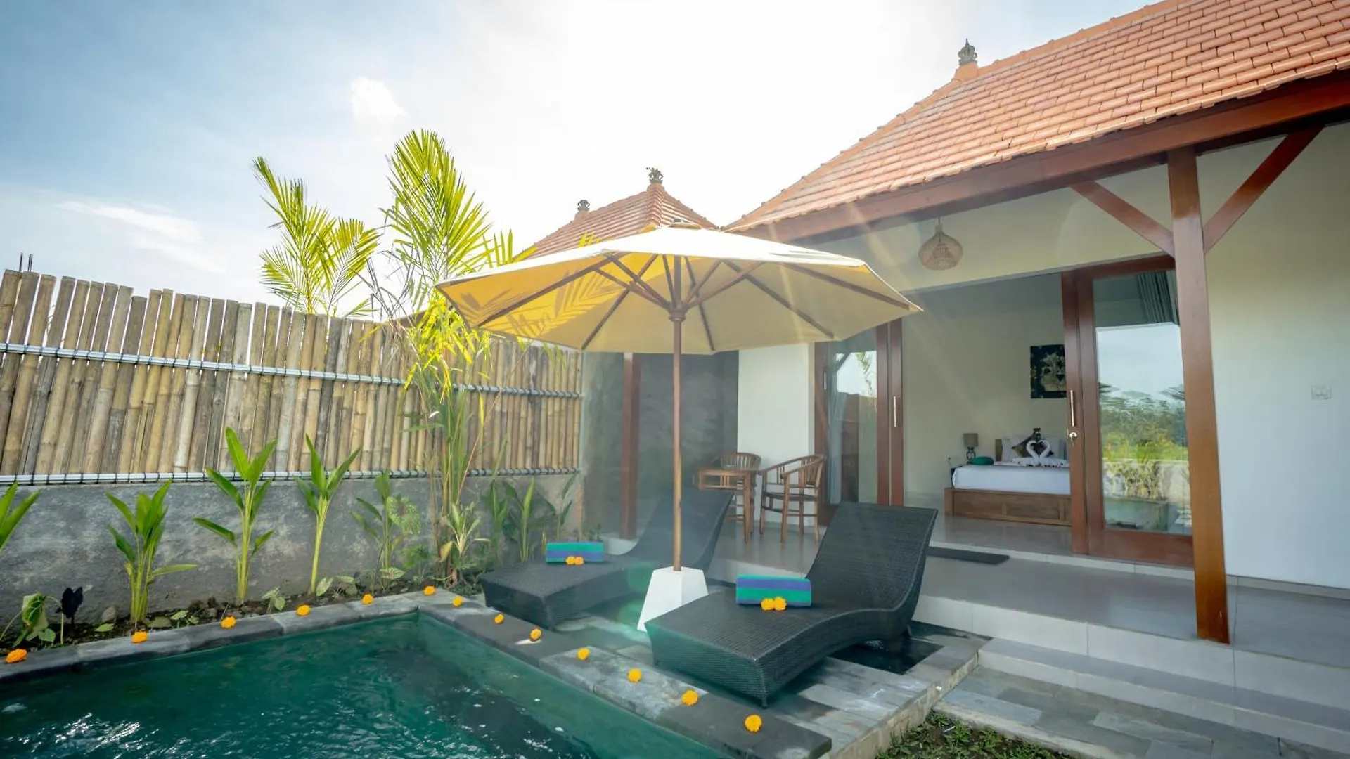 فيلة The Wise Ubud
